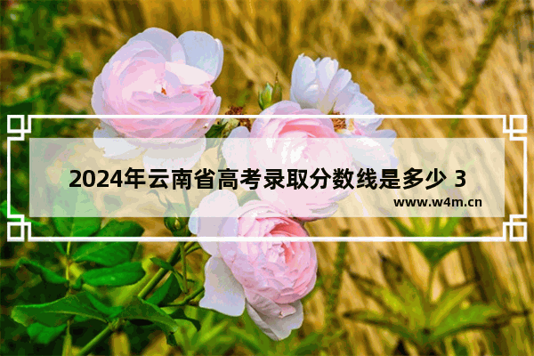 2024年云南省高考录取分数线是多少 31省云南高考分数线公布