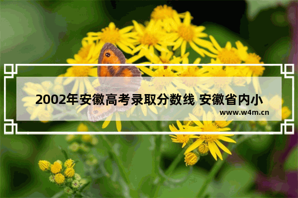 2002年安徽高考录取分数线 安徽省内小高考分数线