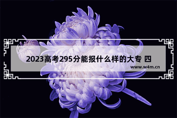 2023高考295分能报什么样的大专 四川纺织高考分数线