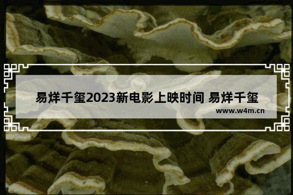 易烊千玺2023新电影上映时间 易烊千玺最新电影曝光了吗