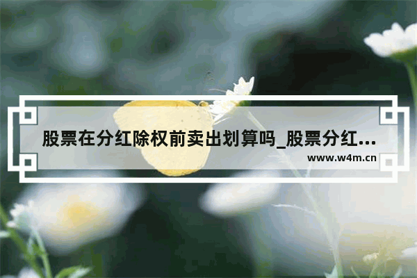 股票在分红除权前卖出划算吗_股票分红第二天卖出划算吗