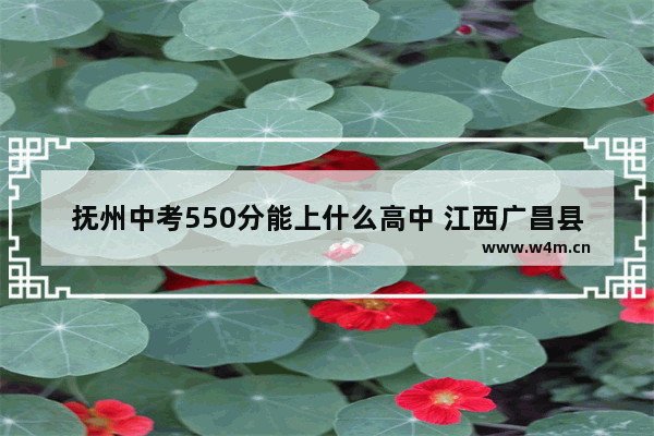 抚州中考550分能上什么高中 江西广昌县高考分数线