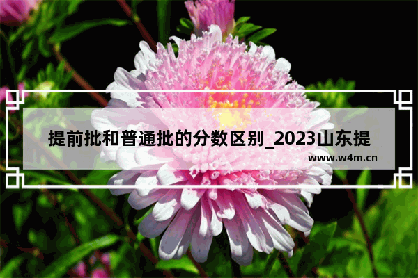 提前批和普通批的分数区别_2023山东提前批公费师范生分数线