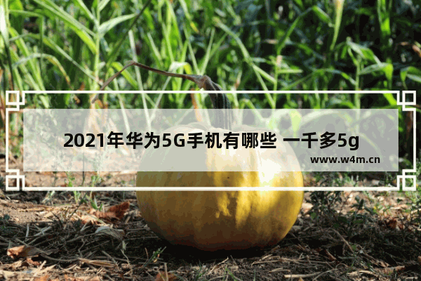 2021年华为5G手机有哪些 一千多5g手机推荐哪款好一点