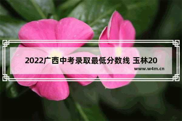 2022广西中考录取最低分数线 玉林2022年高考分数线