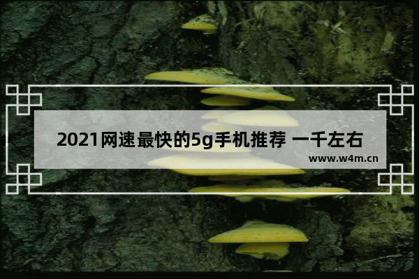 2021网速最快的5g手机推荐 一千左右5g手机推荐排行榜最新