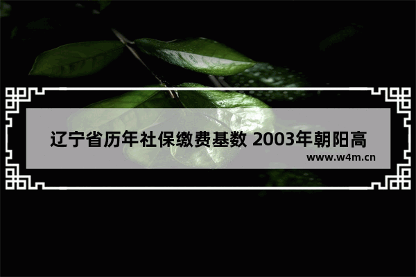 辽宁省历年社保缴费基数 2003年朝阳高考分数线