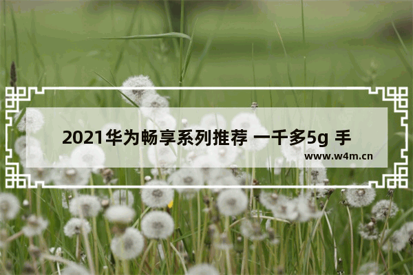 2021华为畅享系列推荐 一千多5g 手机推荐哪款