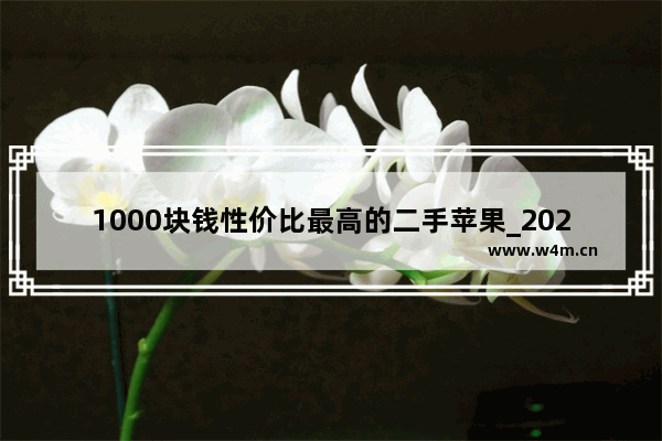 1000块钱性价比最高的二手苹果_2021年1000以内最强手机