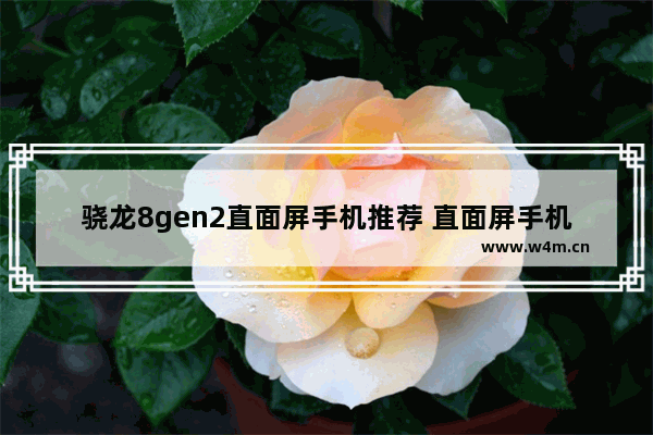 骁龙8gen2直面屏手机推荐 直面屏手机推荐旗舰款