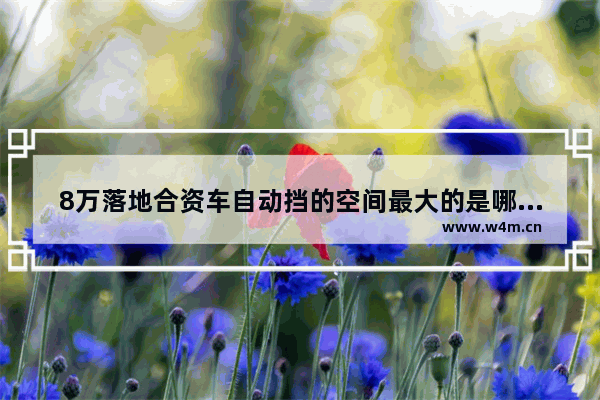 8万落地合资车自动挡的空间最大的是哪款_8万一15万买什么合资汽车最好