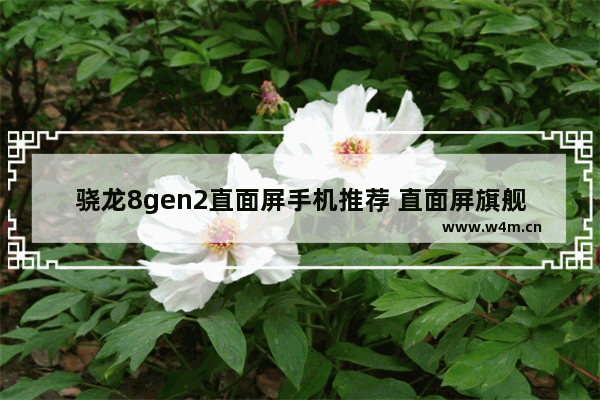 骁龙8gen2直面屏手机推荐 直面屏旗舰机手机推荐最新款