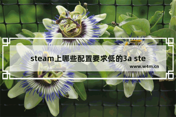 steam上哪些配置要求低的3a steam非3a游戏推荐