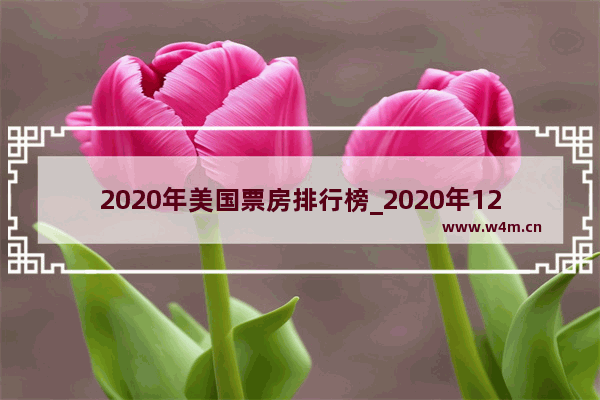 2020年美国票房排行榜_2020年12月北美电影票房排行