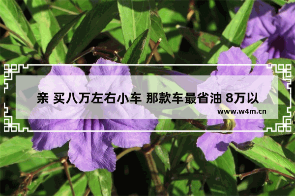 亲 买八万左右小车 那款车最省油 8万以内新车推荐哪款车好开省油