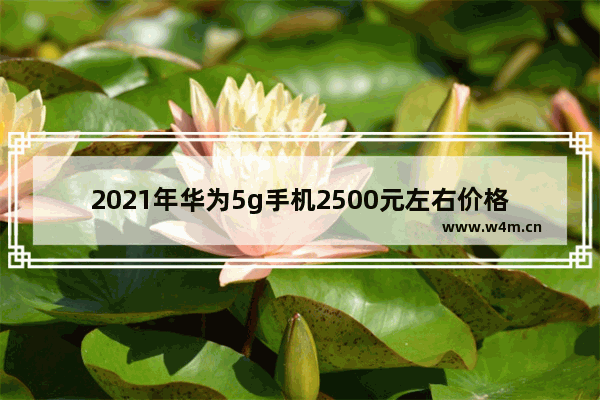 2021年华为5g手机2500元左右价格的哪款手机好 一千多元左右5g手机推荐哪款好