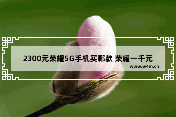 2300元荣耀5G手机买哪款 荣耀一千元5g手机推荐哪款好