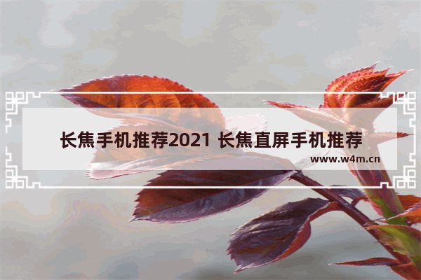 长焦手机推荐2021 长焦直屏手机推荐