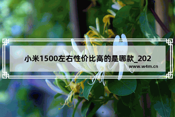 小米1500左右性价比高的是哪款_2021千元机5g性价比最高的手机