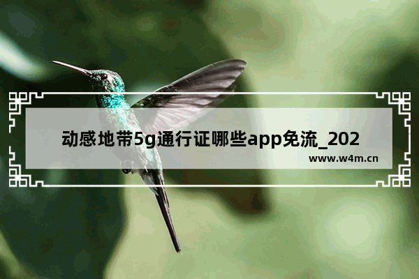 动感地带5g通行证哪些app免流_2021年6月哪一家5g套餐省钱