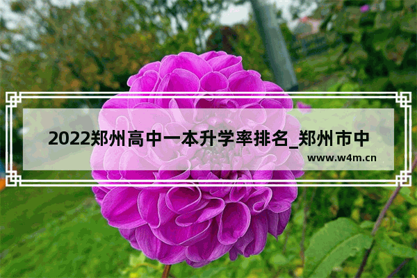 2022郑州高中一本升学率排名_郑州市中考617分在郑州市中招考生中排名是多少