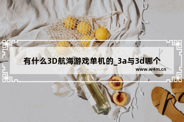 有什么3D航海游戏单机的_3a与3d哪个对电脑配置要求很高