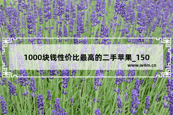 1000块钱性价比最高的二手苹果_1500元的苹果11是真的吗