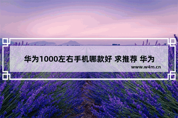 华为1000左右手机哪款好 求推荐 华为一千元手机推荐5个型号