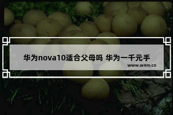 华为nova10适合父母吗 华为一千元手机推荐父母用