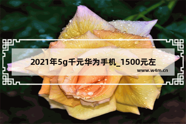 2021年5g千元华为手机_1500元左右荣耀5g手机推荐