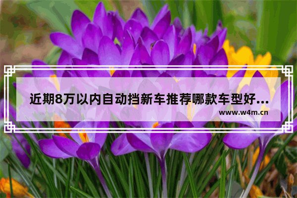 近期8万以内自动挡新车推荐哪款车型好看又实惠 近期8万以内自动挡新车推荐哪款车型好看又实惠