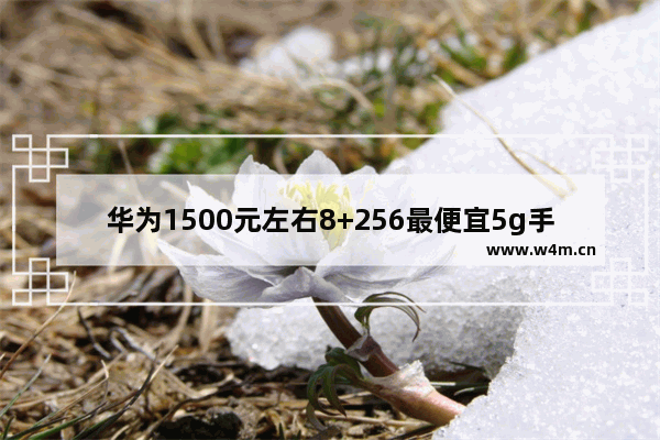 华为1500元左右8+256最便宜5g手机_华为1500到2000手机推荐2021年5G