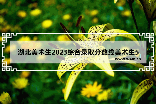 湖北美术生2023综合录取分数线美术生572能上什么_湖北艺术生综合分650分能上什么学校