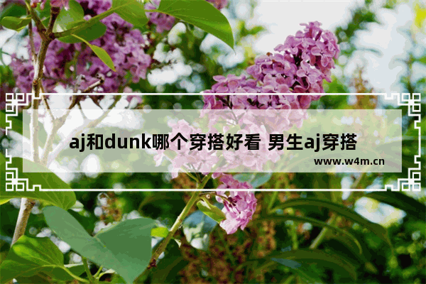 aj和dunk哪个穿搭好看 男生aj穿搭