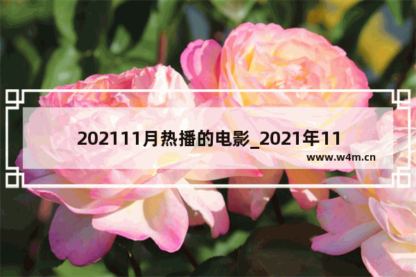 202111月热播的电影_2021年11月电影院上映的国产电影