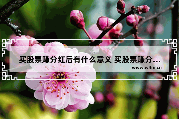 买股票赚分红后有什么意义 买股票赚分红后有什么意义