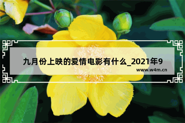 九月份上映的爱情电影有什么_2021年9月份之前上映的电影