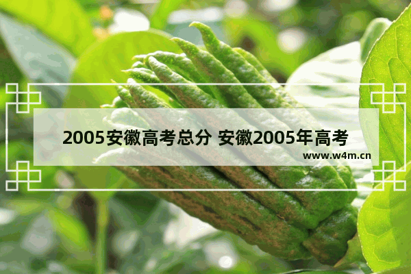 2005安徽高考总分 安徽2005年高考分数线