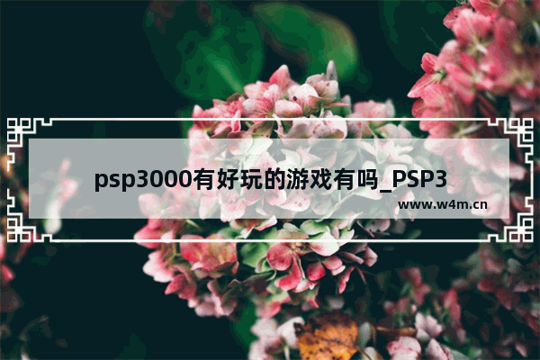 psp3000有好玩的游戏有吗_PSP3000有什么好玩的RPG游戏