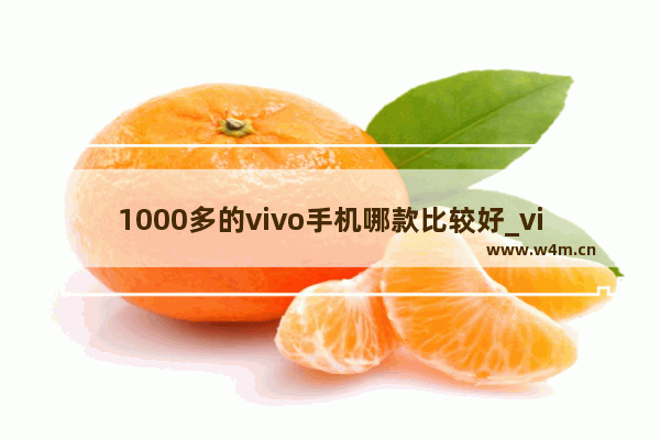 1000多的vivo手机哪款比较好_vivo一千左右的手机哪款好