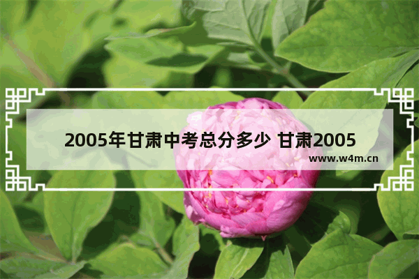 2005年甘肃中考总分多少 甘肃2005年高考分数线