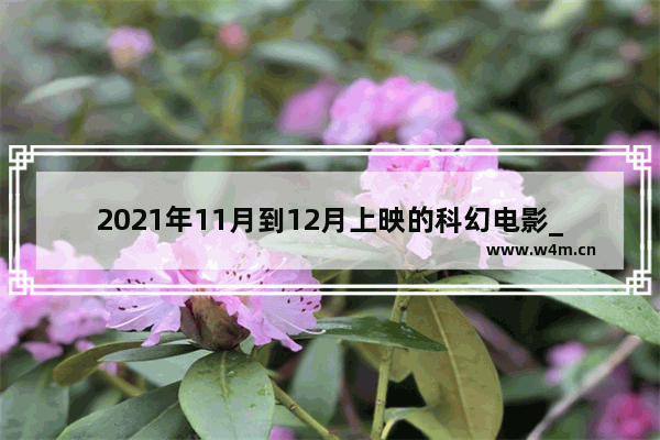 2021年11月到12月上映的科幻电影_十一月份最新电影