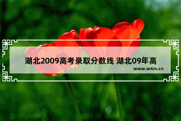 湖北2009高考录取分数线 湖北09年高考分数线