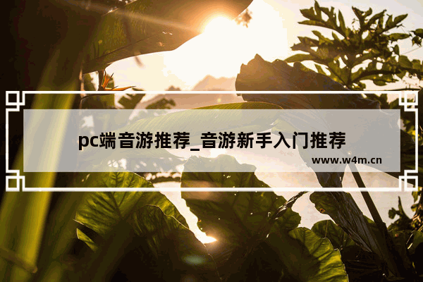 pc端音游推荐_音游新手入门推荐