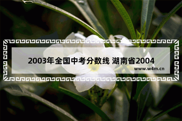 2003年全国中考分数线 湖南省2004高考分数线