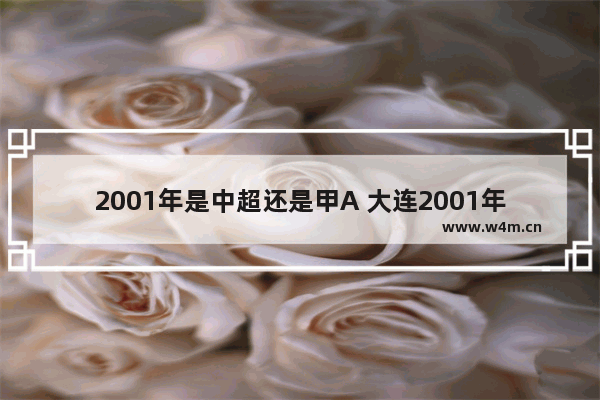 2001年是中超还是甲A 大连2001年高考分数线