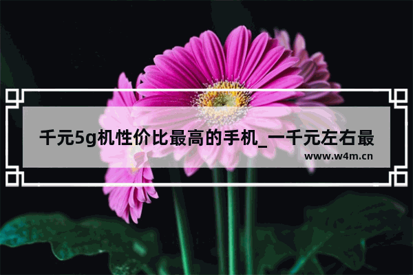 千元5g机性价比最高的手机_一千元左右最好的手机5g手机