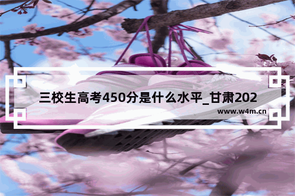 三校生高考450分是什么水平_甘肃2023三校生：高考兰资环录取分数线