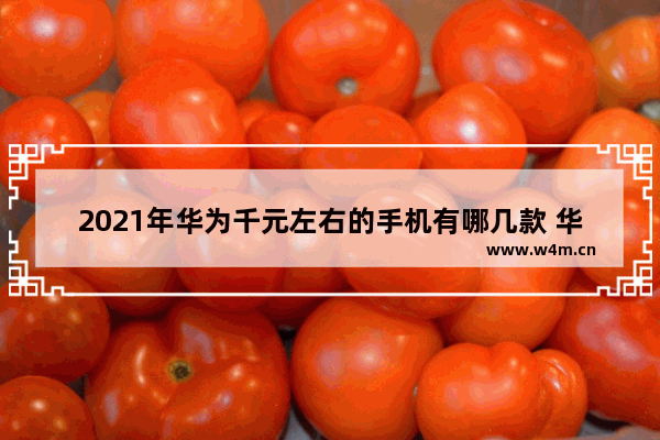 2021年华为千元左右的手机有哪几款 华为手机推荐一千元左右