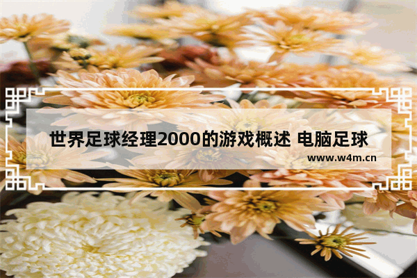 世界足球经理2000的游戏概述 电脑足球游戏推荐